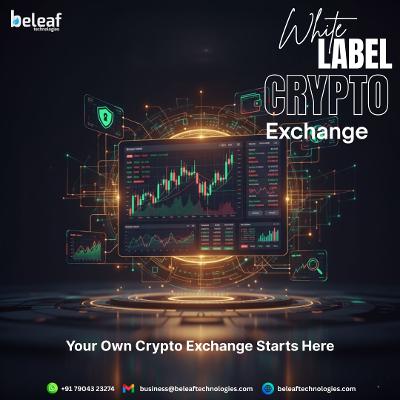 Launch Your Crypto Exchange: Fast Track to Success